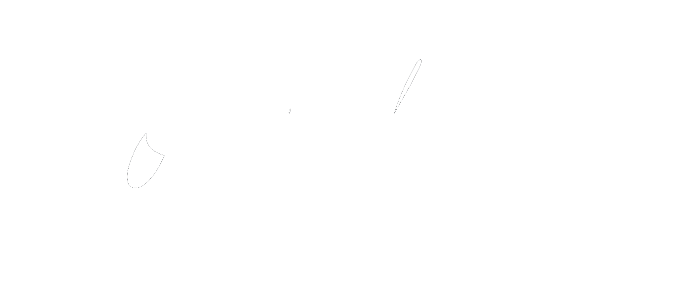 Wood-Fired Sourdough Pizzeria